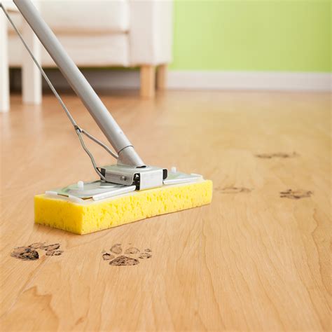 The magic spin mop: the ultimate secret to a clean and fresh home